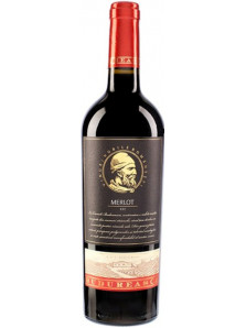 Budureasca Premium Merlot 2015/2016 | Dealu Mare